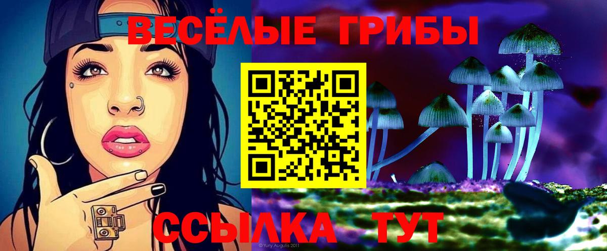 Лысьва  Галлюциногенные грибы Psilocybine cubensis  Галлюциногенные грибы Cubensis  Вход с VPN 